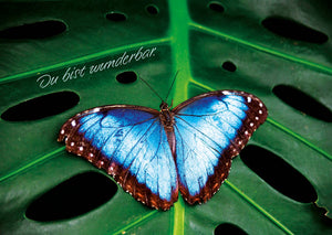 Postkarte Schmetterling Blau